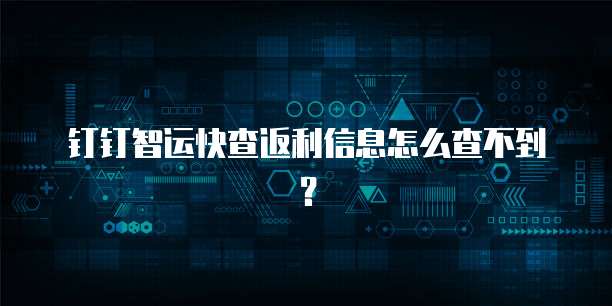 钉钉智运快查返利信息怎么查不到？