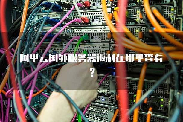 阿里云国外服务器返利在哪里查看?
