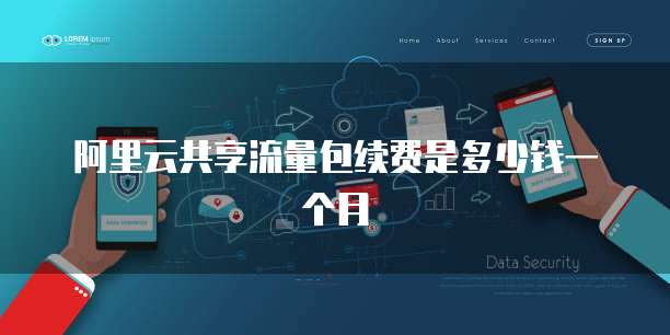 阿里云共享流量包续费是多少钱一个月