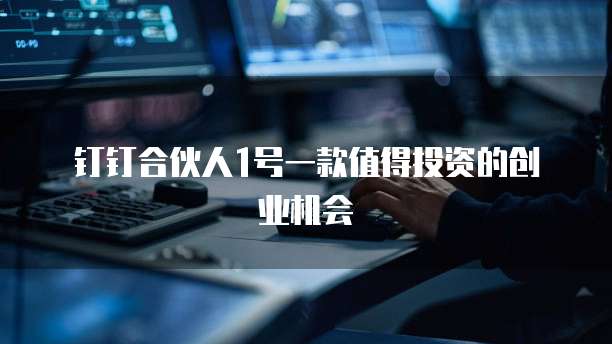 钉钉合伙人1号一款值得投资的创业机会