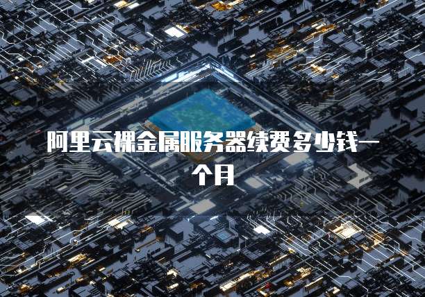 阿里云裸金属服务器续费多少钱一个月