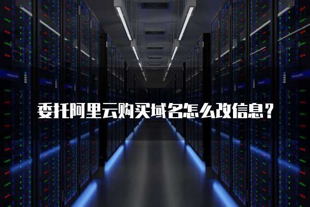 委托阿里云购买域名怎么改信息?