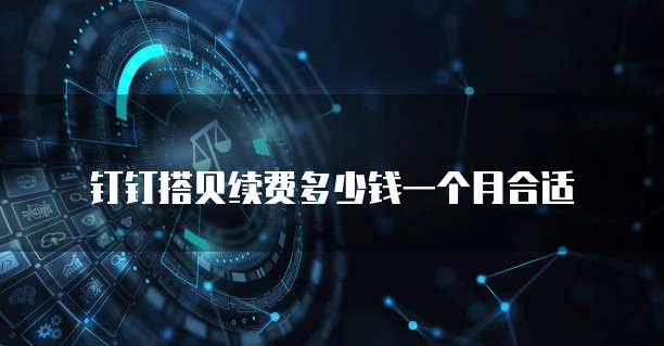 钉钉搭贝续费多少钱一个月合适