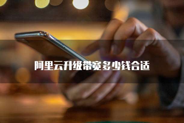 阿里云升级带宽多少钱合适