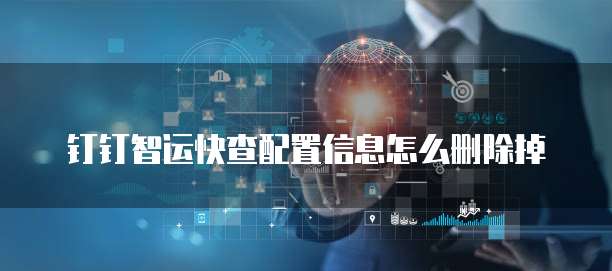 钉钉智运快查配置信息怎么删除掉