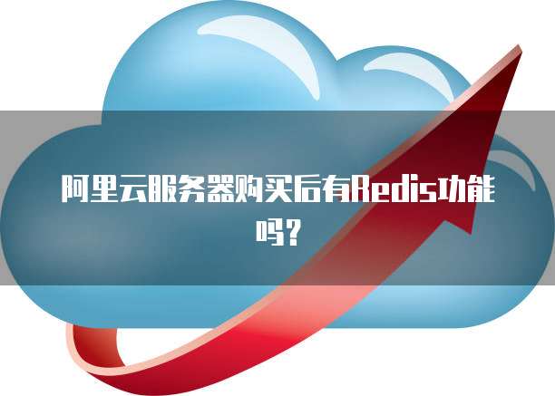 阿里云服务器购买后有Redis功能吗？