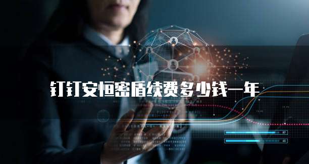 钉钉安恒密盾续费多少钱一年