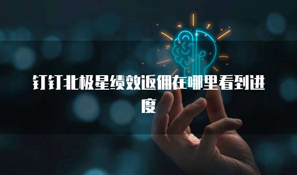 钉钉北极星绩效返佣在哪里看到进度