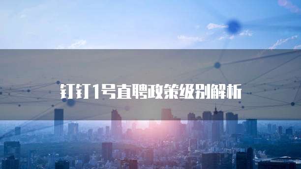 钉钉1号直聘政策级别解析
