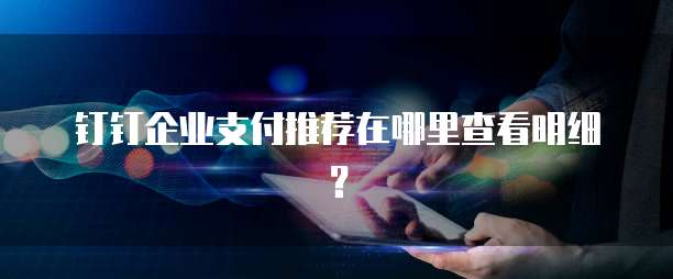 钉钉企业支付推荐在哪里查看明细?