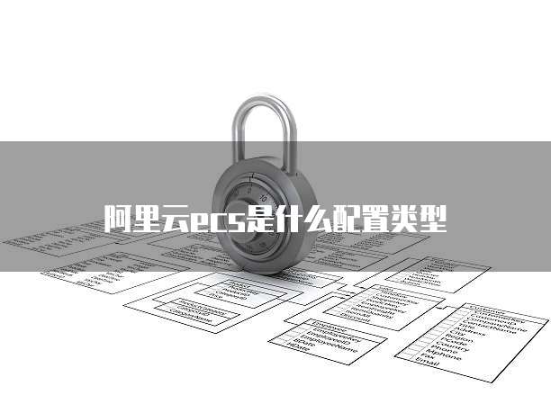 阿里云ecs是什么配置类型