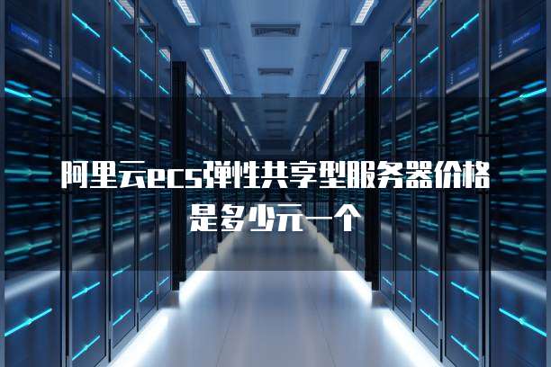 阿里云ecs弹性共享型服务器价格是多少元一个