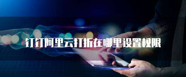 钉钉阿里云打折在哪里设置权限