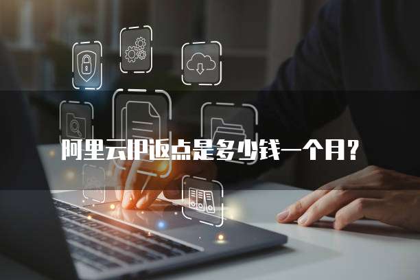 阿里云IP返点是多少钱一个月?