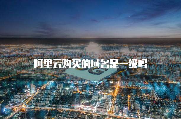 阿里云购买的域名是一级吗