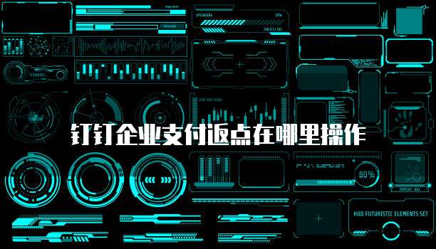 钉钉企业支付返点在哪里操作