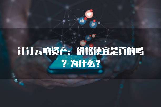 钉钉云呐资产:价格便宜是真的吗?为什么?
