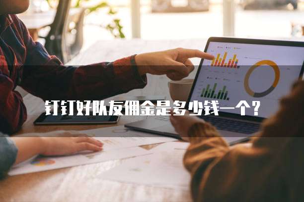 钉钉好队友佣金是多少钱一个？