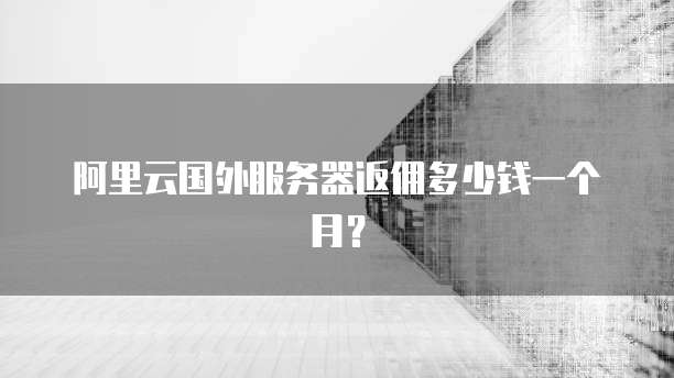 阿里云国外服务器返佣多少钱一个月?