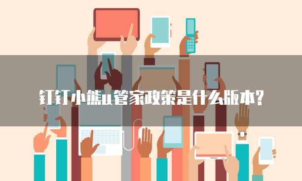 钉钉小熊u管家政策是什么版本?