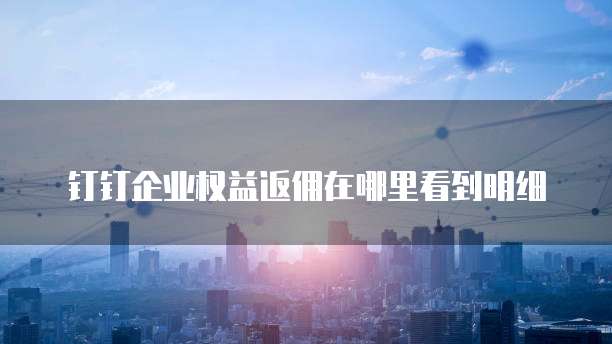 钉钉企业权益返佣在哪里看到明细