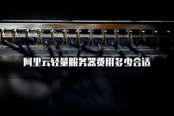 阿里云轻量服务器费用多少合适