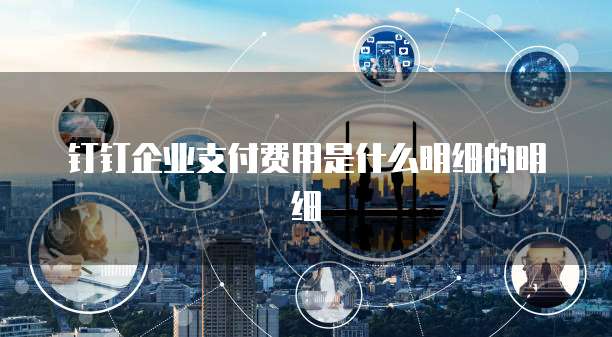 钉钉企业支付费用是什么明细的明细