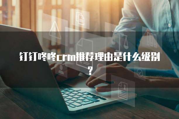 钉钉咚咚crm推荐理由是什么级别?
