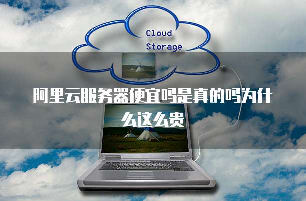 阿里云服务器便宜吗是真的吗为什么这么贵