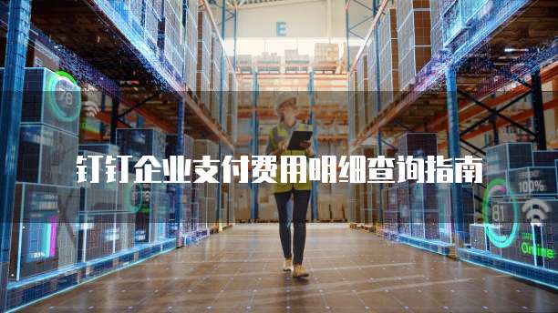 钉钉企业支付费用明细查询指南