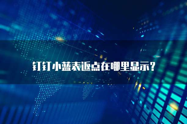 钉钉小蓝表返点在哪里显示?