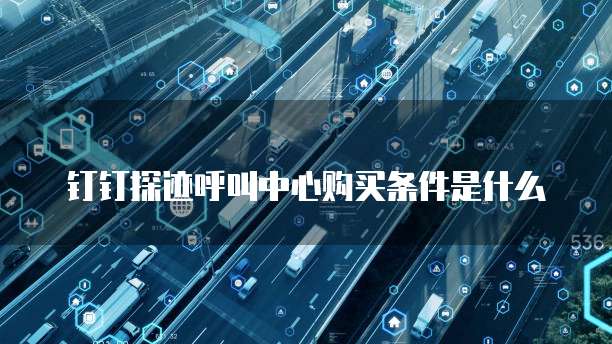钉钉探迹呼叫中心购买条件是什么