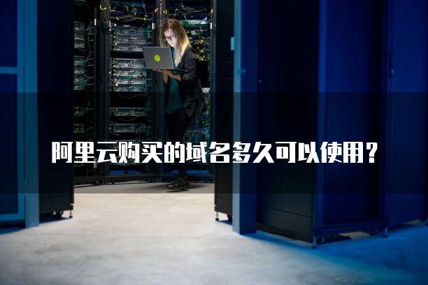 阿里云购买的域名多久可以使用？