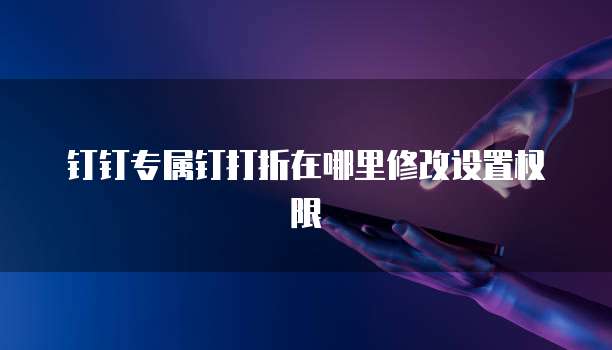 钉钉专属钉打折在哪里修改设置权限