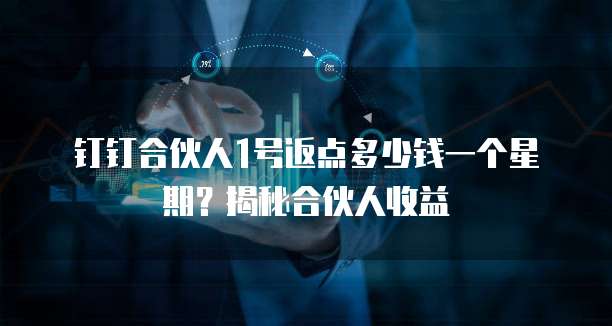 钉钉合伙人1号返点多少钱一个星期?揭秘合伙人收益