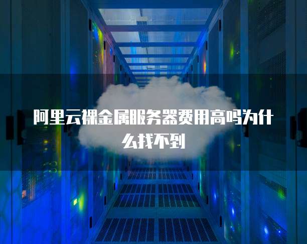 阿里云裸金属服务器费用高吗为什么找不到