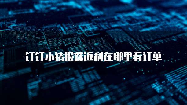 钉钉小猪报餐返利在哪里看订单