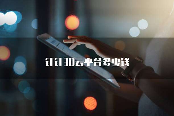 钉钉3D云平台多少钱