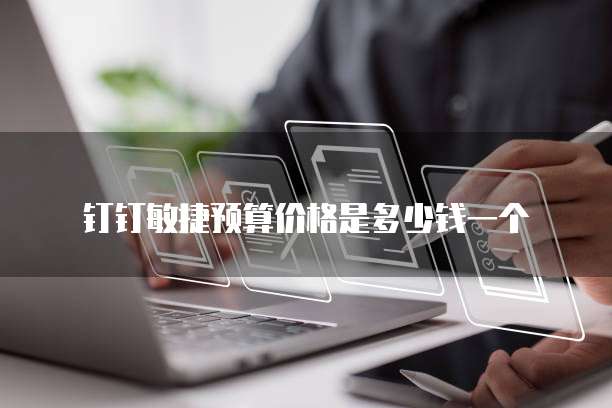 钉钉敏捷预算价格是多少钱一个
