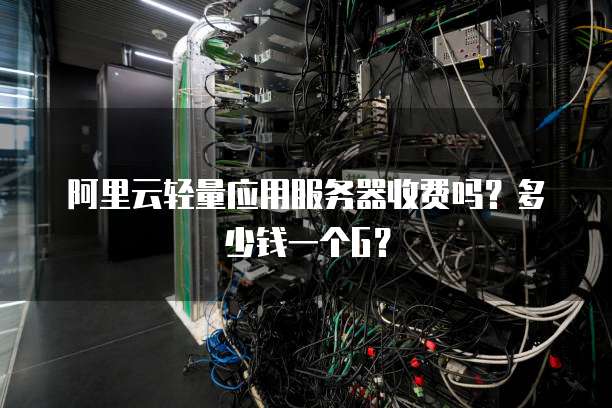 阿里云轻量应用服务器收费吗？多少钱一个G？