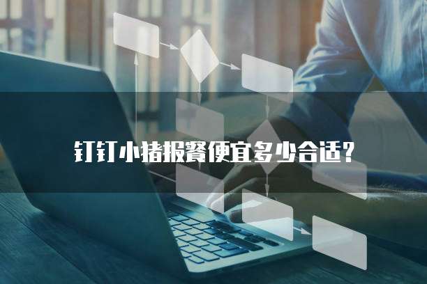 钉钉小猪报餐便宜多少合适？