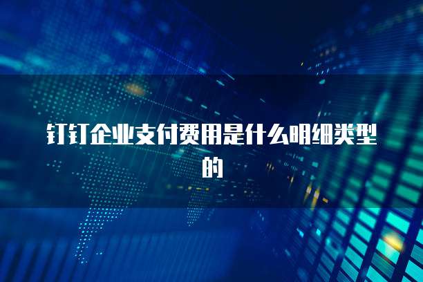 钉钉企业支付费用是什么明细类型的