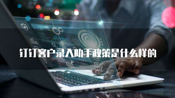 钉钉客户录入助手政策是什么样的