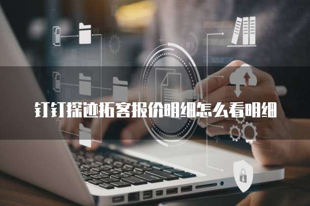 钉钉探迹拓客报价明细怎么看明细