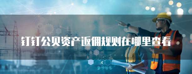 钉钉公贝资产返佣规则在哪里查看