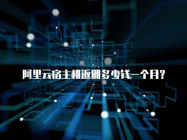 阿里云宿主机返佣多少钱一个月?
