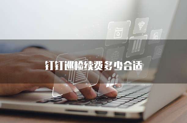 钉钉巡检续费多少合适