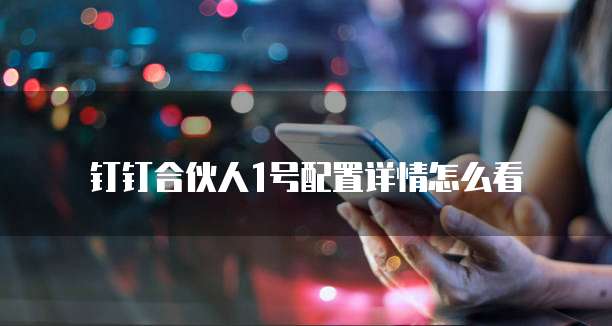 钉钉合伙人1号配置详情怎么看