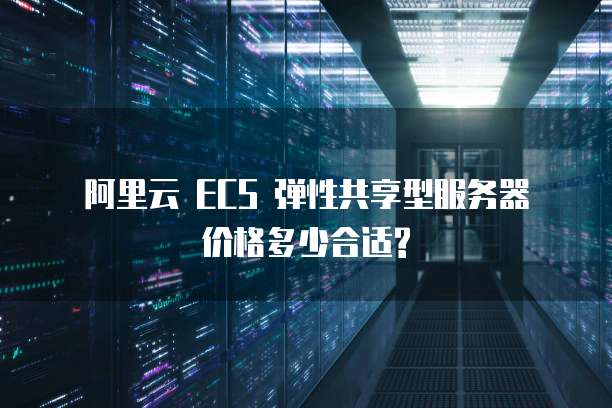 阿里云 ECS 弹性共享型服务器价格多少合适?