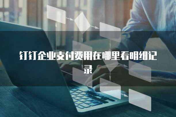 钉钉企业支付费用在哪里看明细记录